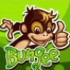 Bungee Monkey