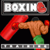 Boxing Training