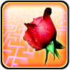 Rose Day - Maze Puzzle