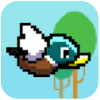 Flapping Duck
