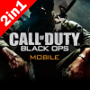 Call of Duty 2in1