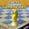 Чемпион по шахматам
